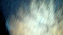 husband's secret encounter on november 11, 2017?