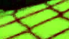 Amazing milf spreads wet squirting pussy