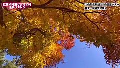 Enjoy Nanachi Together in Roleplay Reality