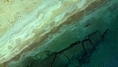 Drone captures nudist beach exhibitionism