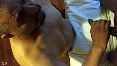 Black shemale with monster cock gets sucked and fucked