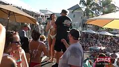 those insane sluts twerk their pussies at the key west pool party