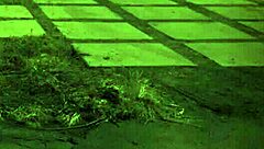 Amateur Redhead Rough Anal