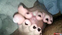 my couple does footjob on webcam