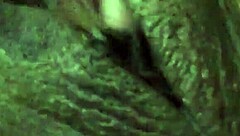 why am i playing with my wet pussy?