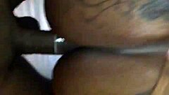 Big Booty Doggystyle With Gucci Asswell