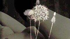 Vintage Closeups Of Mature Blowjob And Pussy Fucking