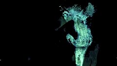 Vintage Porn Spanning Two Centuries: Retro Hairy Descriptions