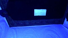Gigi Breeze's blacklight massage feels so relaxing