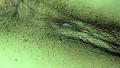 Stallion with big ass and pussy