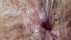 Stallion with big ass and pussy