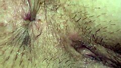 Stallion with big ass and pussy