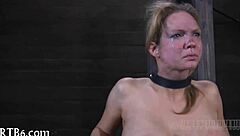 Explore free sadomasochism sex videos