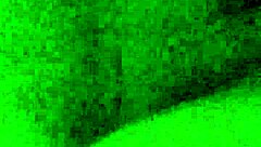 This amateur couple shares special creampie moments