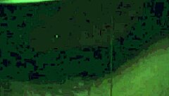 Vintage Interracial and Double Blowjobs – What a Scene!