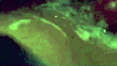 Vintage Interracial and Double Blowjobs – What a Scene!