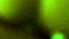 Homemade fuck in las vegas with amateurs enjoying the city