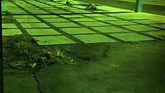 Is This Bad Slut Ready for Rough Anal?