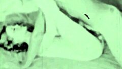 Dark Lantern Entertainment Unveils Two Centuries of Vintage Blowjob Porn