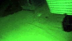 Taking Wife For Pantyless Beach Walk At Night