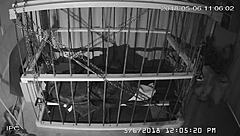 Cagecam Feed From Bound Gay Cage