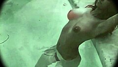 Dark Lantern Entertainment Presents Vintage Blowjobs From My Secret Life