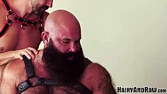 Hairy Bearded Victor West Fucked By Drake Michaels