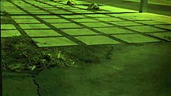 Suggestive Bondage Domination For Teen's First Time Experience