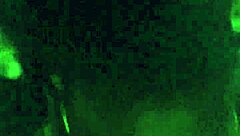 Wife's infidelity caught on camera