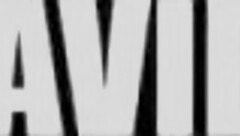 pornmi zaviel in blowjob action