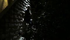 Beautiful lesbians with glasses kiss passionately.