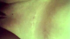 A sexy little dog in a fun adventure with friends