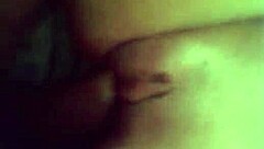 A sexy little dog in a fun adventure with friends