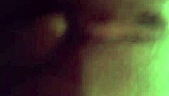 A sexy little dog in a fun adventure with friends