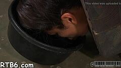 caged girl receives a lusty whipping on her smooth booty