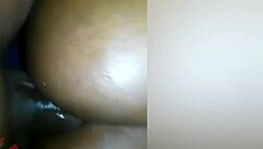 black beauty's greedy anal craving