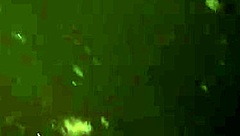 suggestive gay public sex outdoors