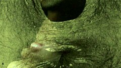 Vintage Closeups from My Secret Life Erotic Confessions