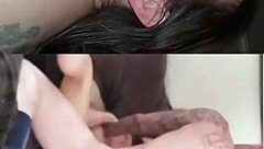 Compilation of bbw women in various activities