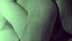 two centuries of vintage hairy beaver porn