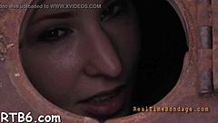 Sadomasochism serf collar.