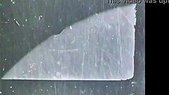 dark lantern entertainment presents the dragonfly, a vintage outdoor nudist film