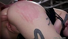 Tied Hacker Fucked By Stepsiblings!