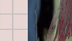 Exuberant Milf Hentai Drawings Created Just For You