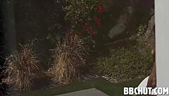 cumming for kira jax slayher kira noir