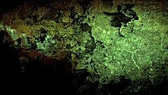 vintage hentai cartoon erotic anime scenes