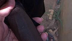 Fotos Y Videos De Compañeros De Trabajo