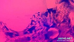 my asian hairy pussy compilation volume 42