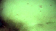 creampie my wife from behind