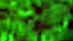 Hey, don’t you just love these sexy heels on me?